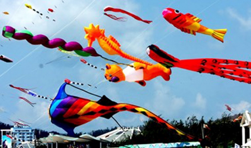 FESTIVAL DIỀU LẦN 7 TH&Aacute;NG 12/ 2016