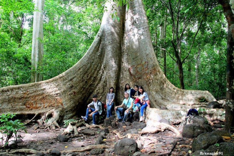 TRẢI NGHIỆM C&Aacute;T TI&Ecirc;N