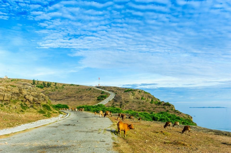 ĐẾN L&Yacute; SƠN